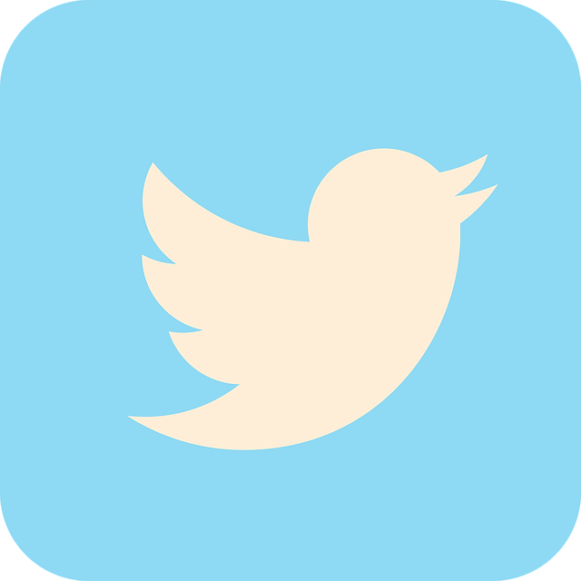Twitter Nasıl Kullanılır?